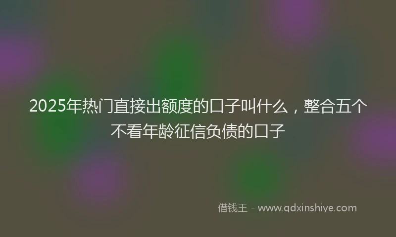 2025年热门直接出额度的口子叫什么，整合五个不看年龄征信负债的口子