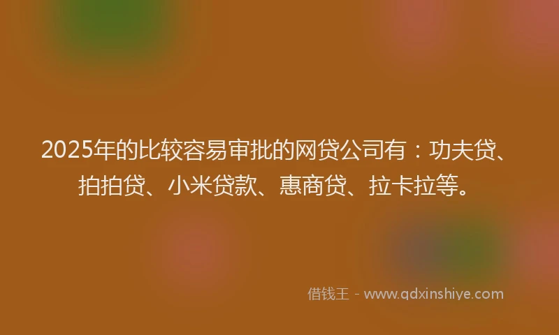 2025年的比较容易审批的网贷公司有：功夫贷、拍拍贷、小米贷款、惠商贷、拉卡拉等。
