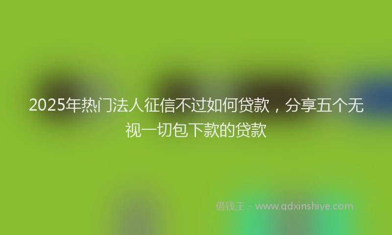2025年热门法人征信不过如何贷款，分享五个无视一切包下款的贷款