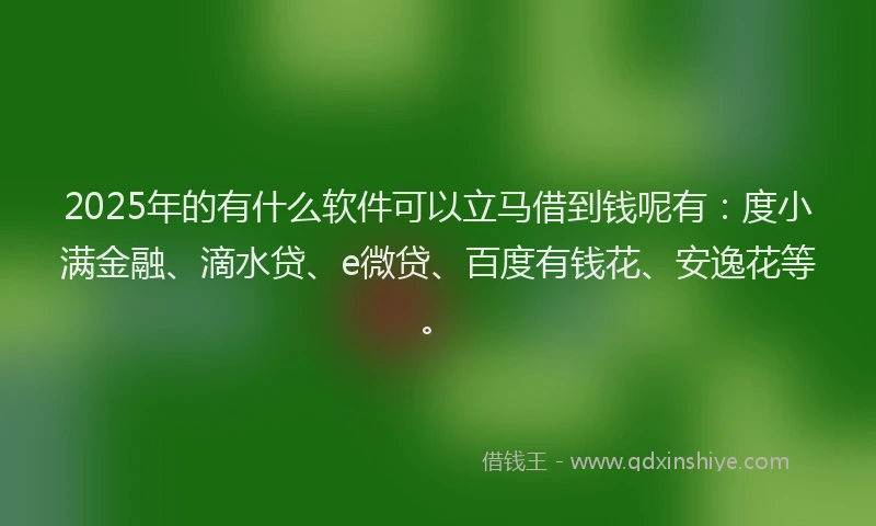 2025年的有什么软件可以立马借到钱呢有：度小满金融、滴水贷、e微贷、百度有钱花、安逸花等。