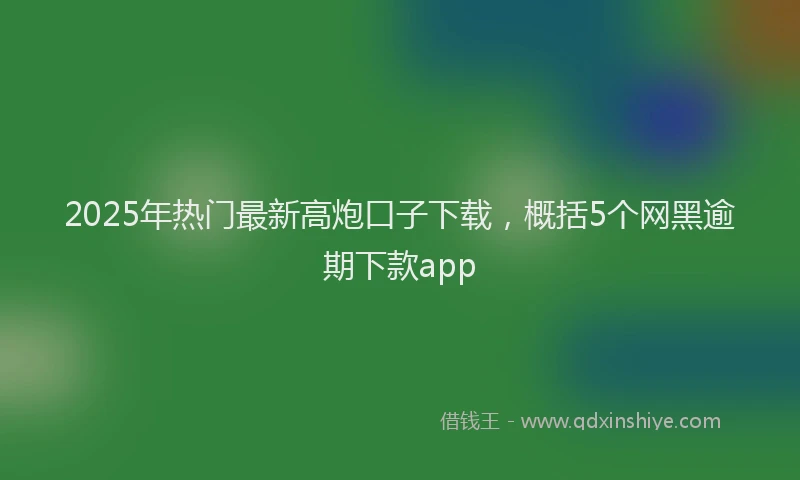 2025年热门最新高炮口子下载，概括5个网黑逾期下款app