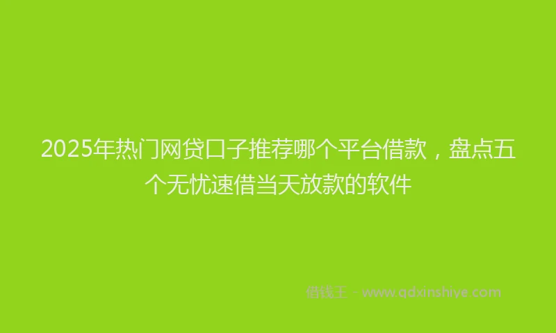 2025年热门网贷口子推荐哪个平台借款，盘点五个无忧速借当天放款的软件