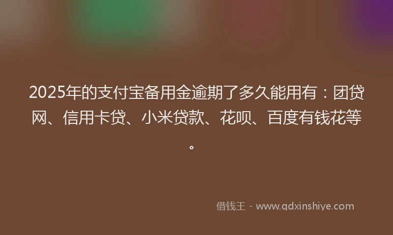 2025年的支付宝备用金逾期了多久能用有：团贷网、信用卡贷、小米贷款、花呗、百度有钱花等。