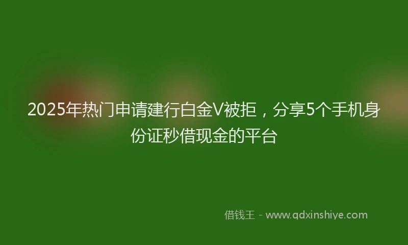 2025年热门申请建行白金V被拒，分享5个手机身份证秒借现金的平台
