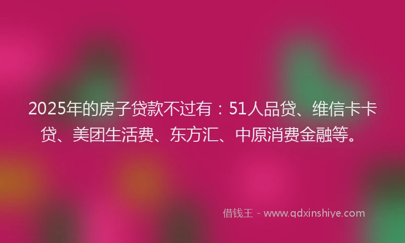 2025年的房子贷款不过有：51人品贷、维信卡卡贷、美团生活费、东方汇、中原消费金融等。