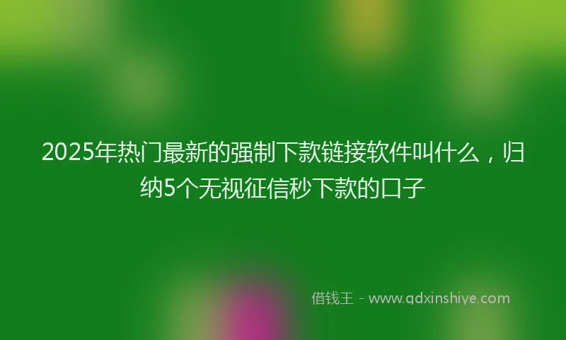 2025年热门最新的强制下款链接软件叫什么，归纳5个无视征信秒下款的口子