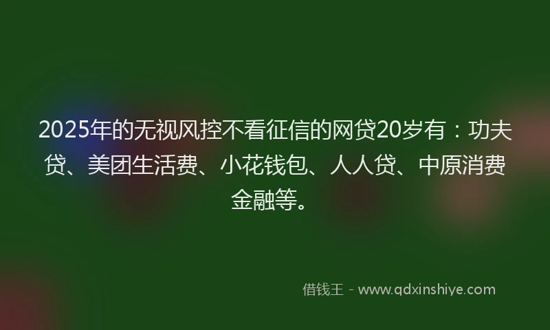 2025年的无视风控不看征信的网贷20岁有：功夫贷、美团生活费、小花钱包、人人贷、中原消费金融等。