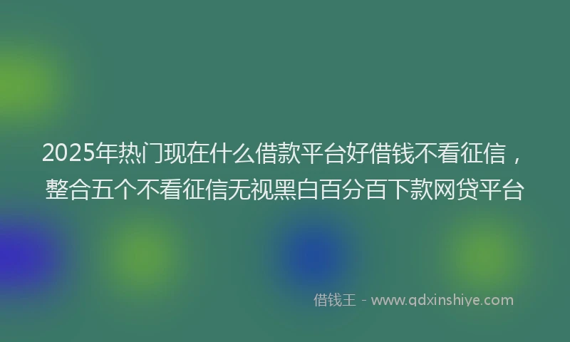 2025年热门现在什么借款平台好借钱不看征信，整合五个不看征信无视黑白百分百下款网贷平台