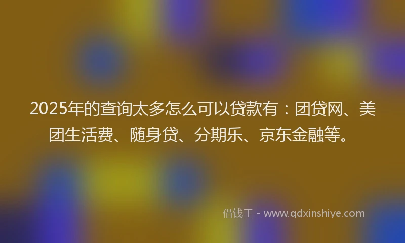 2025年的查询太多怎么可以贷款有：团贷网、美团生活费、随身贷、分期乐、京东金融等。