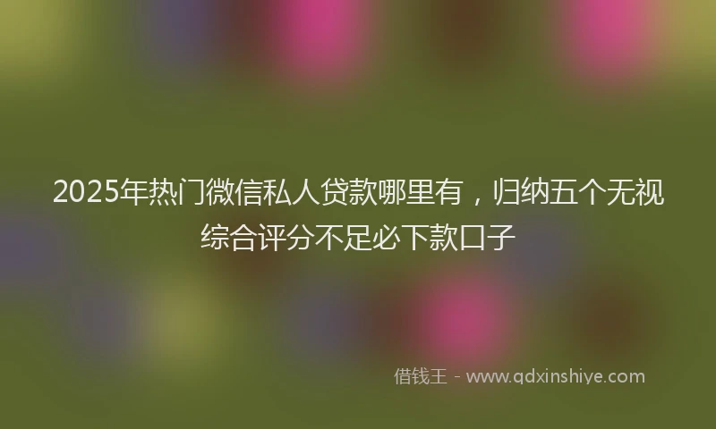 2025年热门微信私人贷款哪里有，归纳五个无视综合评分不足必下款口子