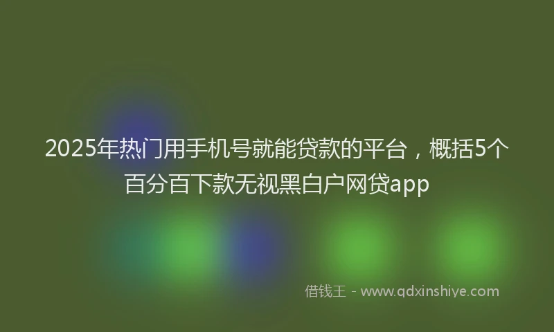 2025年热门用手机号就能贷款的平台，概括5个百分百下款无视黑白户网贷app