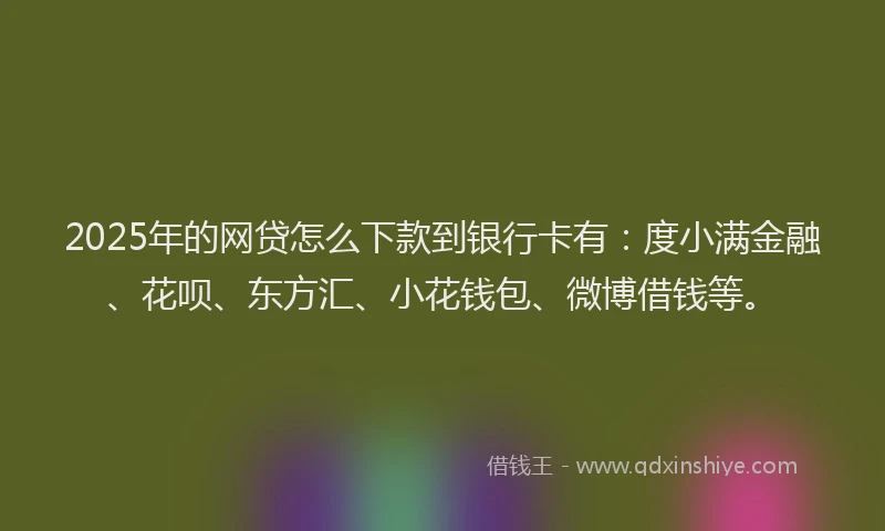 2025年的网贷怎么下款到银行卡有：度小满金融、花呗、东方汇、小花钱包、微博借钱等。