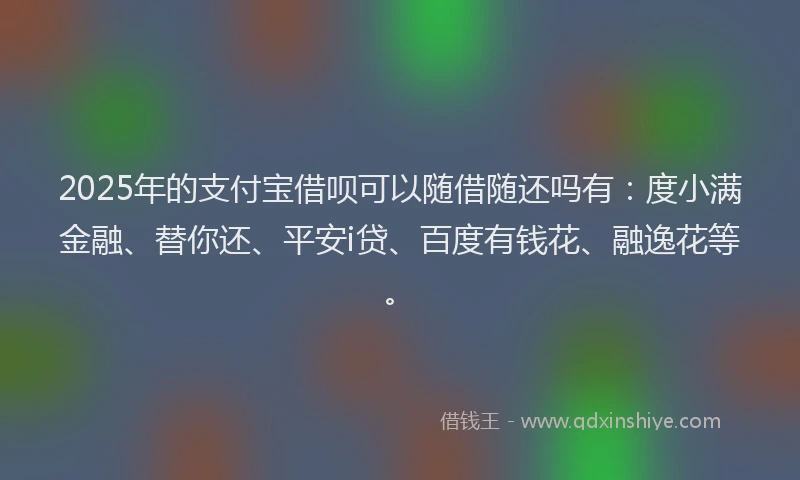 2025年的支付宝借呗可以随借随还吗有：度小满金融、替你还、平安i贷、百度有钱花、融逸花等。