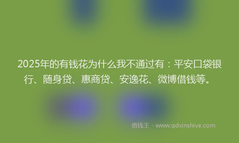 2025年的有钱花为什么我不通过有：平安口袋银行、随身贷、惠商贷、安逸花、微博借钱等。