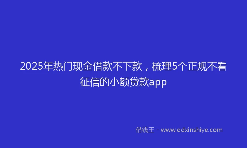 2025年热门现金借款不下款，梳理5个正规不看征信的小额贷款app