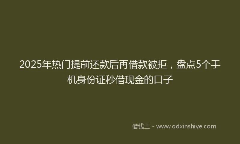 2025年热门提前还款后再借款被拒，盘点5个手机身份证秒借现金的口子