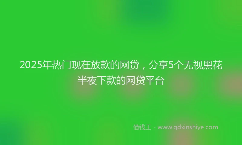 2025年热门现在放款的网贷，分享5个无视黑花半夜下款的网贷平台