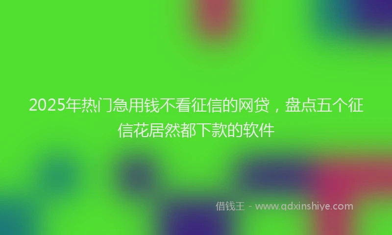 2025年热门急用钱不看征信的网贷，盘点五个征信花居然都下款的软件