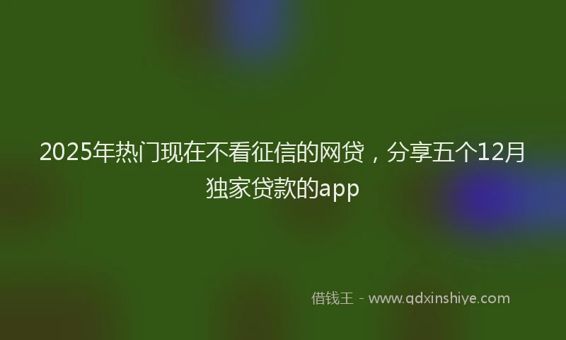 2025年热门现在不看征信的网贷，分享五个12月独家贷款的app