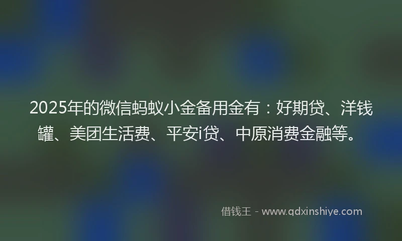 2025年的微信蚂蚁小金备用金有：好期贷、洋钱罐、美团生活费、平安i贷、中原消费金融等。