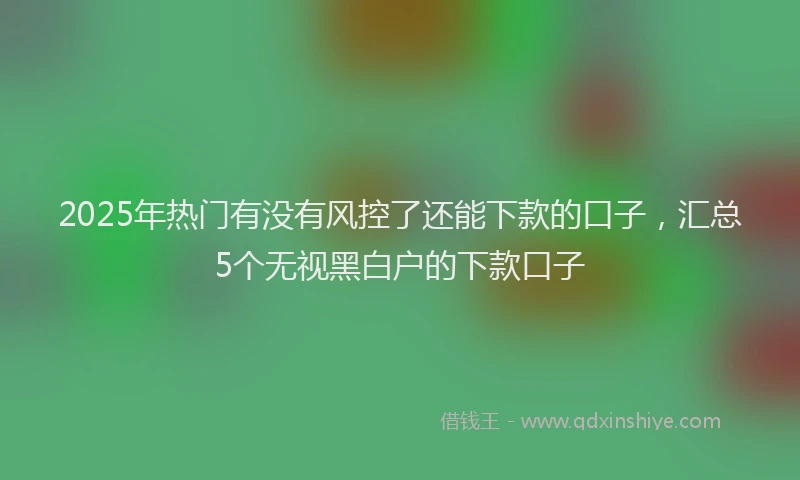2025年热门有没有风控了还能下款的口子，汇总5个无视黑白户的下款口子