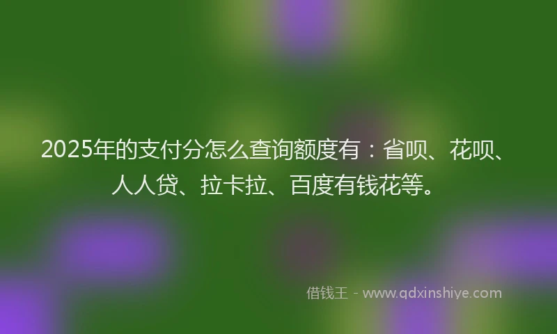 2025年的支付分怎么查询额度有：省呗、花呗、人人贷、拉卡拉、百度有钱花等。
