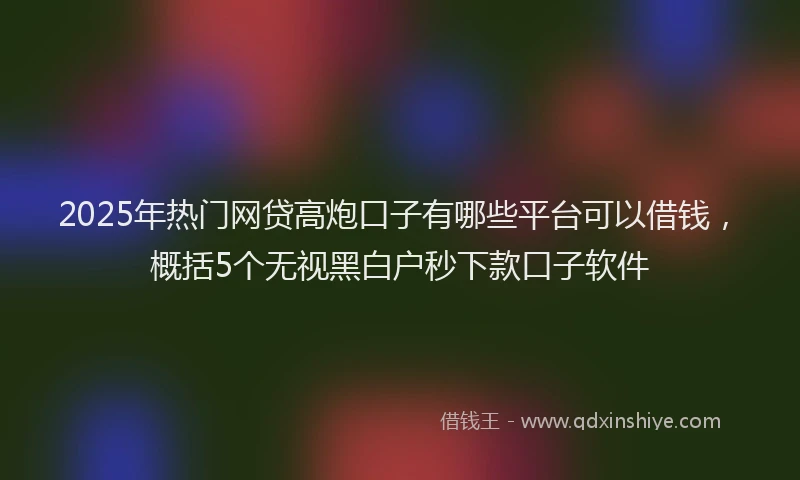 2025年热门网贷高炮口子有哪些平台可以借钱，概括5个无视黑白户秒下款口子软件