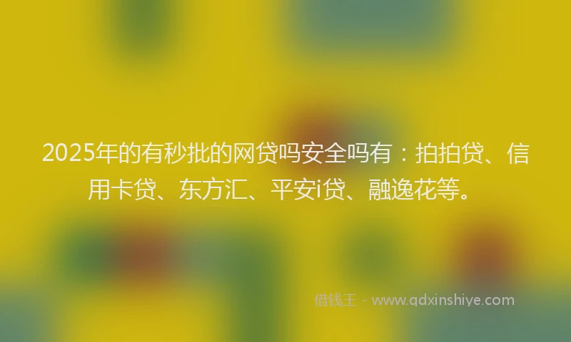 2025年的有秒批的网贷吗安全吗有：拍拍贷、信用卡贷、东方汇、平安i贷、融逸花等。