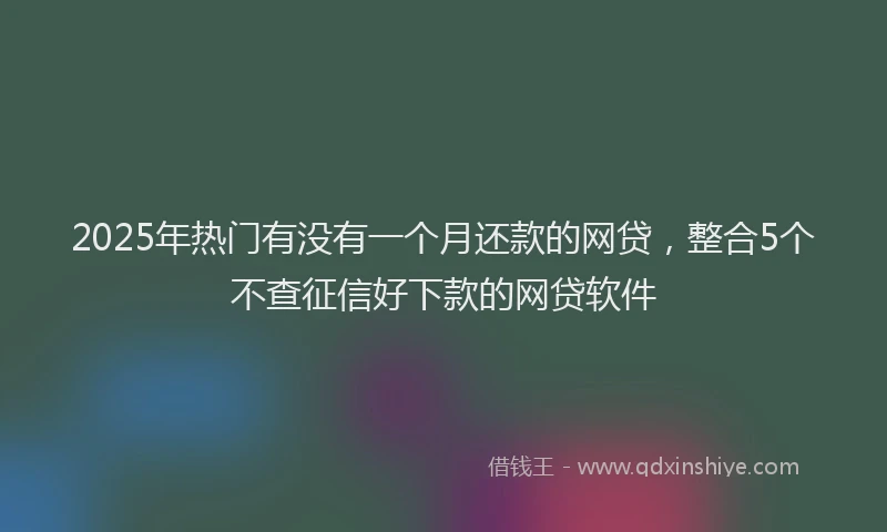 2025年热门有没有一个月还款的网贷，整合5个不查征信好下款的网贷软件