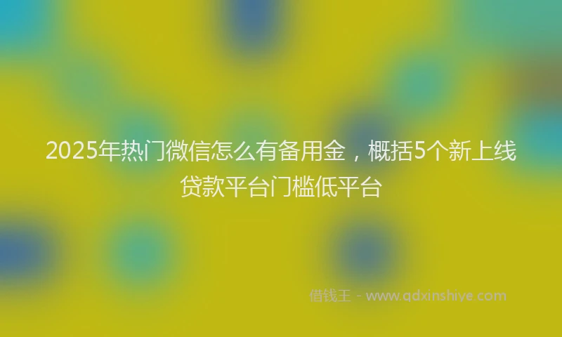 2025年热门微信怎么有备用金，概括5个新上线贷款平台门槛低平台