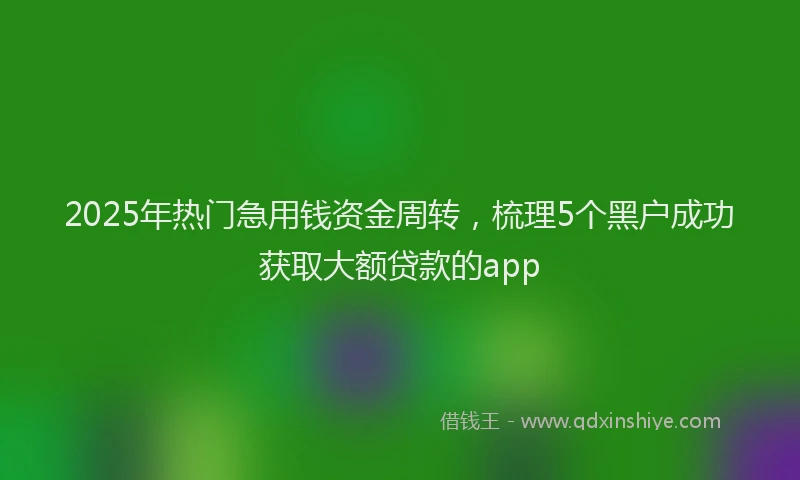 2025年热门急用钱资金周转，梳理5个黑户成功获取大额贷款的app
