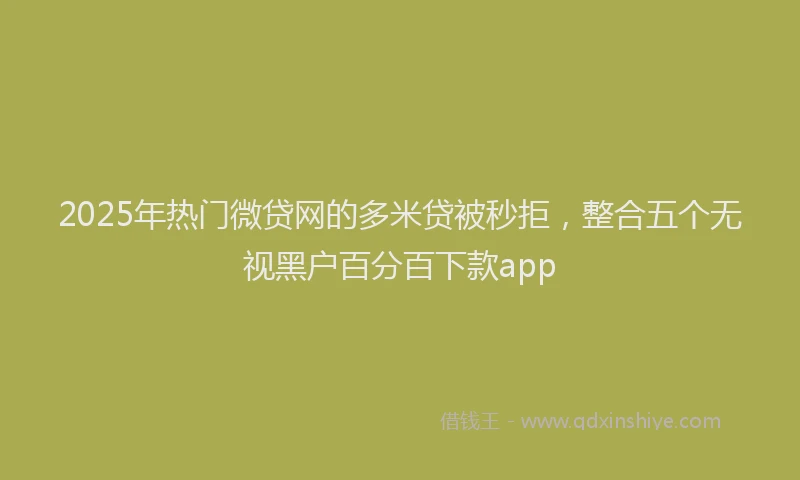 2025年热门微贷网的多米贷被秒拒，整合五个无视黑户百分百下款app