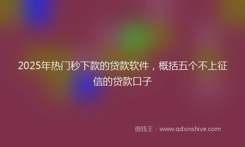 2025年热门秒下款的贷款软件，概括五个不上征信的贷款口子