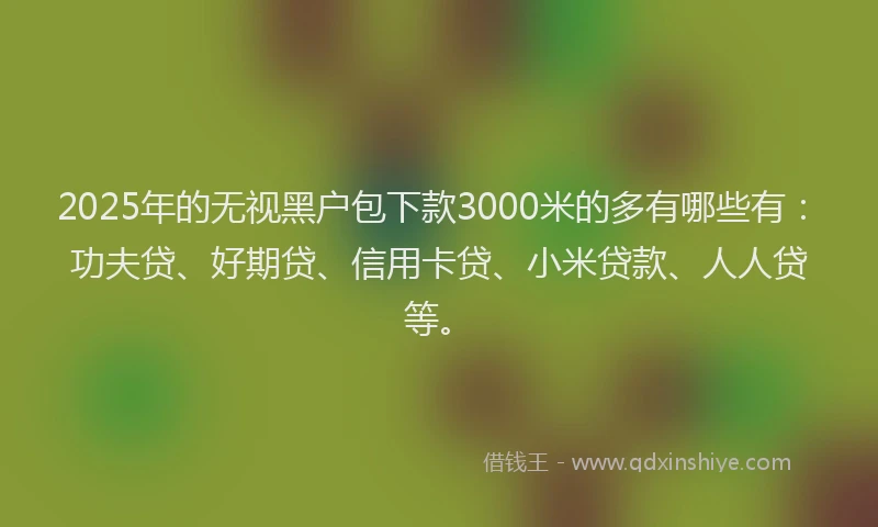 2025年的无视黑户包下款3000米的多有哪些有：功夫贷、好期贷、信用卡贷、小米贷款、人人贷等。