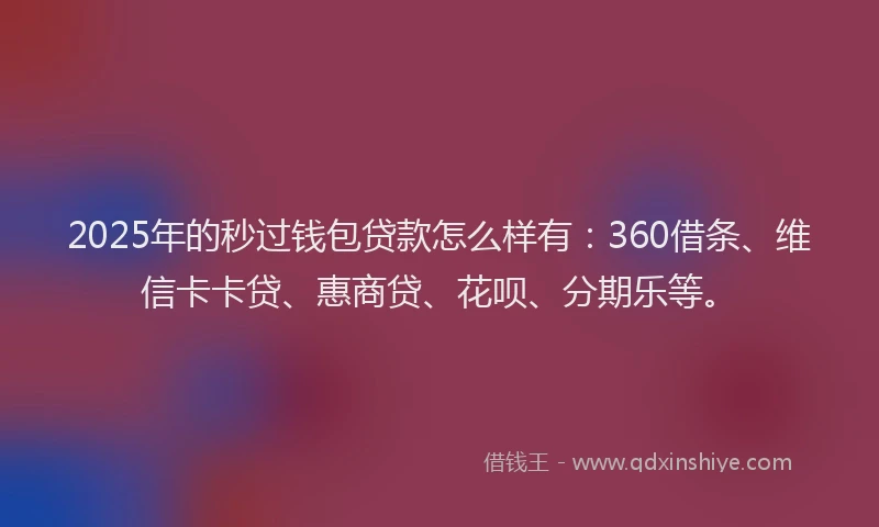 2025年的秒过钱包贷款怎么样有：360借条、维信卡卡贷、惠商贷、花呗、分期乐等。