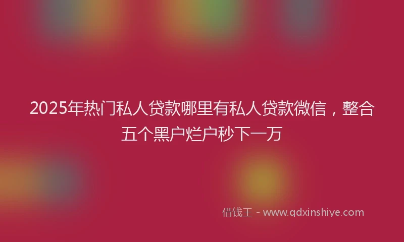 2025年热门私人贷款哪里有私人贷款微信，整合五个黑户烂户秒下一万