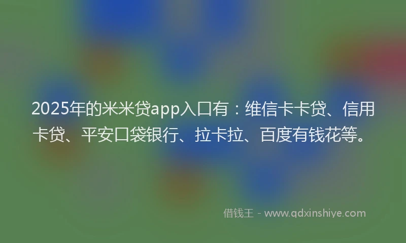 2025年的米米贷app入口有：维信卡卡贷、信用卡贷、平安口袋银行、拉卡拉、百度有钱花等。