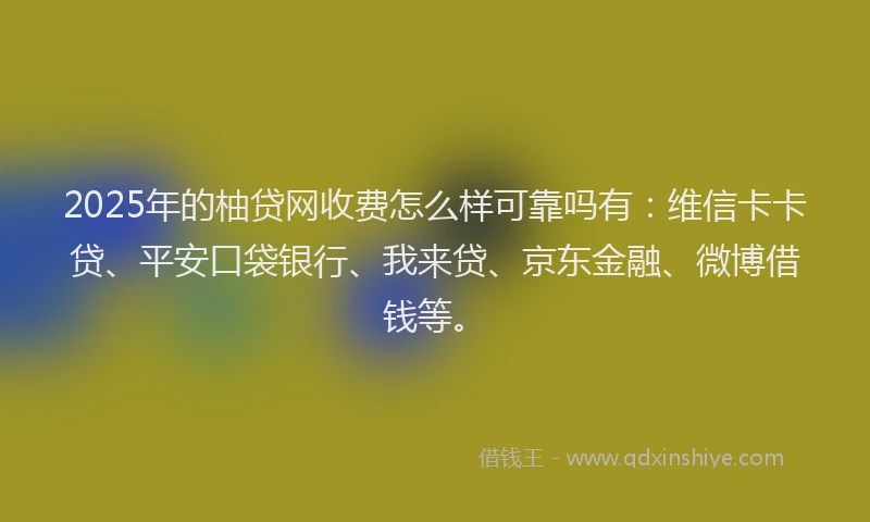 2025年的柚贷网收费怎么样可靠吗有：维信卡卡贷、平安口袋银行、我来贷、京东金融、微博借钱等。