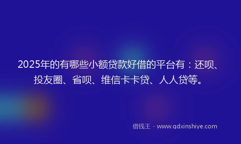 2025年的有哪些小额贷款好借的平台有：还呗、投友圈、省呗、维信卡卡贷、人人贷等。