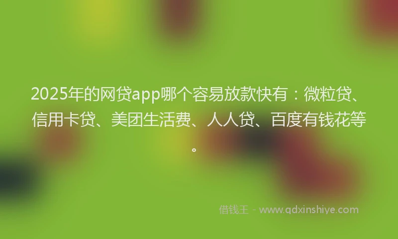 2025年的网贷app哪个容易放款快有：微粒贷、信用卡贷、美团生活费、人人贷、百度有钱花等。