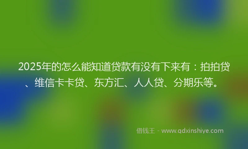 2025年的怎么能知道贷款有没有下来有：拍拍贷、维信卡卡贷、东方汇、人人贷、分期乐等。