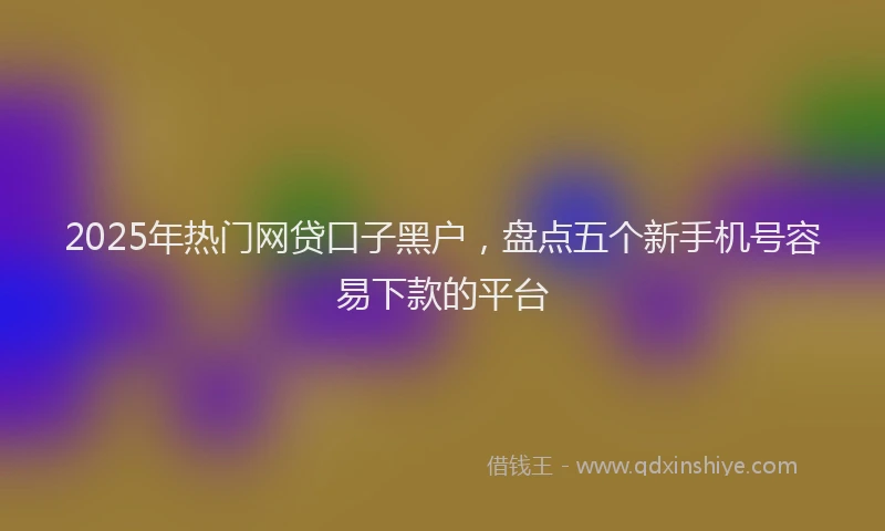 2025年热门网贷口子黑户，盘点五个新手机号容易下款的平台