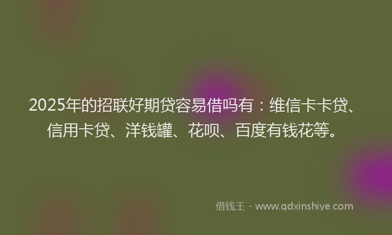 2025年的招联好期贷容易借吗有：维信卡卡贷、信用卡贷、洋钱罐、花呗、百度有钱花等。