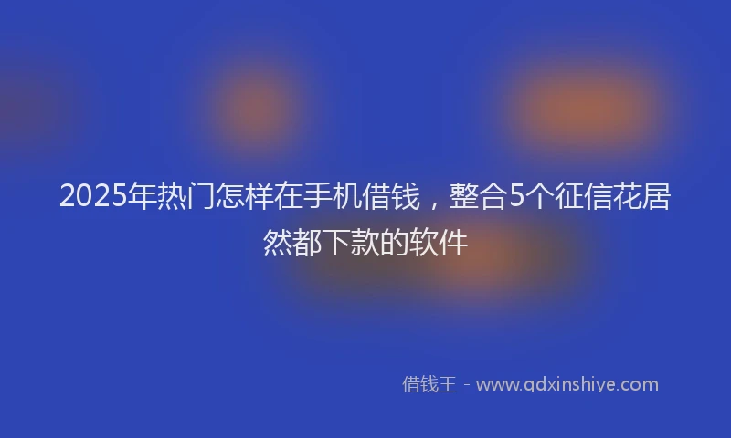 2025年热门怎样在手机借钱，整合5个征信花居然都下款的软件