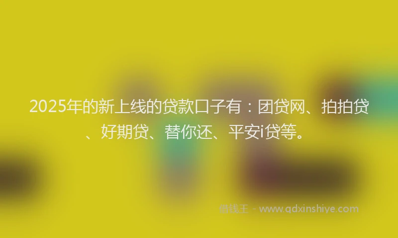 2025年的新上线的贷款口子有：团贷网、拍拍贷、好期贷、替你还、平安i贷等。