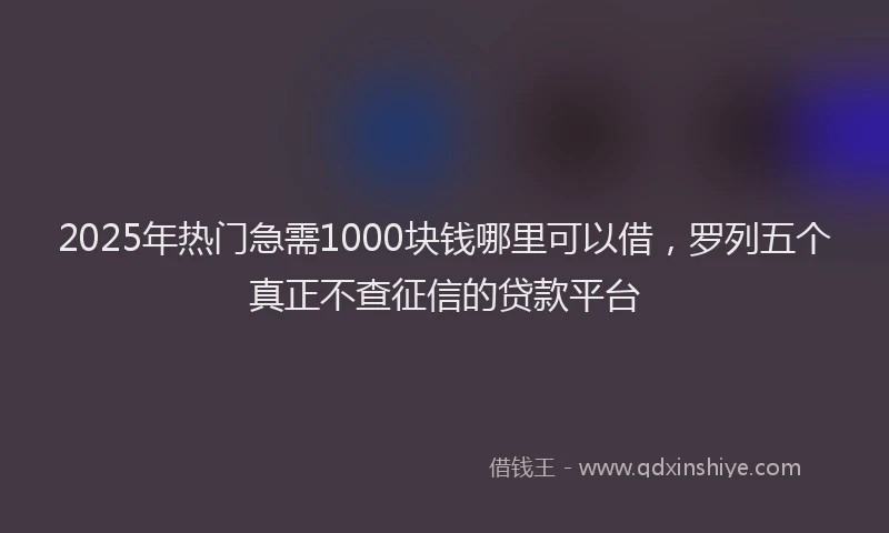 2025年热门急需1000块钱哪里可以借，罗列五个真正不查征信的贷款平台