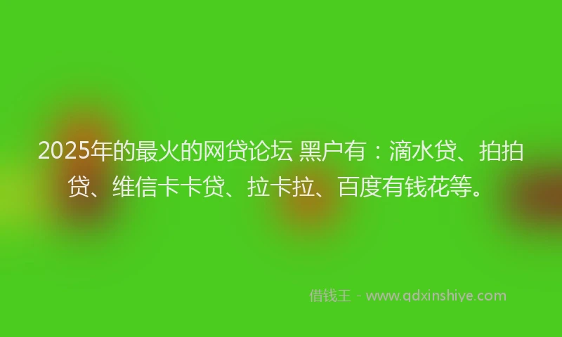 2025年的最火的网贷论坛 黑户有：滴水贷、拍拍贷、维信卡卡贷、拉卡拉、百度有钱花等。