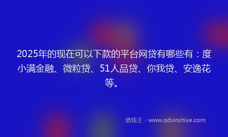 2025年的现在可以下款的平台网贷有哪些有：度小满金融、微粒贷、51人品贷、你我贷、安逸花等。