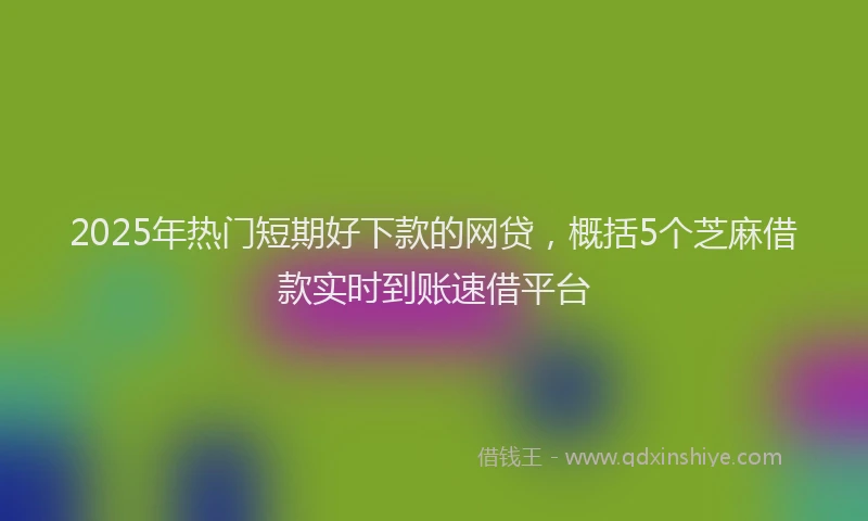 2025年热门短期好下款的网贷，概括5个芝麻借款实时到账速借平台
