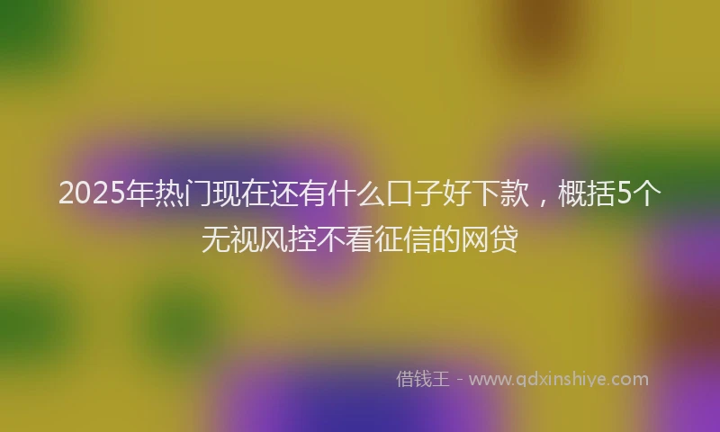 2025年热门现在还有什么口子好下款，概括5个无视风控不看征信的网贷